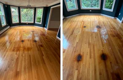 Wood Floor Mystery 17