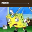 Sponge