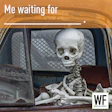 Skeleton