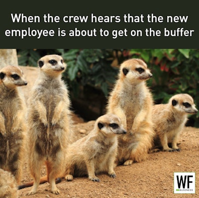 New Employee Buffer Meerkat