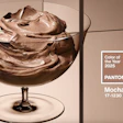 PANTONE 17-1230 Mocha Mousse.