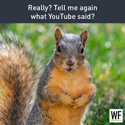 You Tube Squirrel