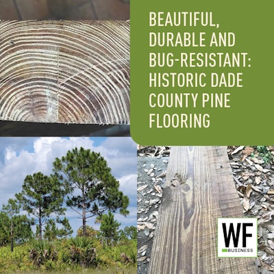 Dade Co Pine