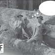 Logger