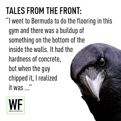 Am25 Tales Guano