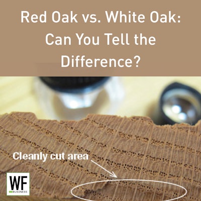 Red Oak Vs White Oak