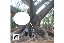 524708641 1409294320930776 550613947310174206 N