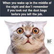 Wide-eyed silver tabby cat with shocked expression and funny night-time worry text
