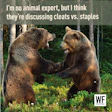 Two brown bears facing each other in forest, humorous meme about discussion