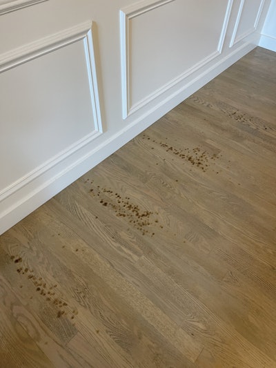 These spots were from rubber pads under folding chair legs that created plasticizer migration in the waterborne finish.