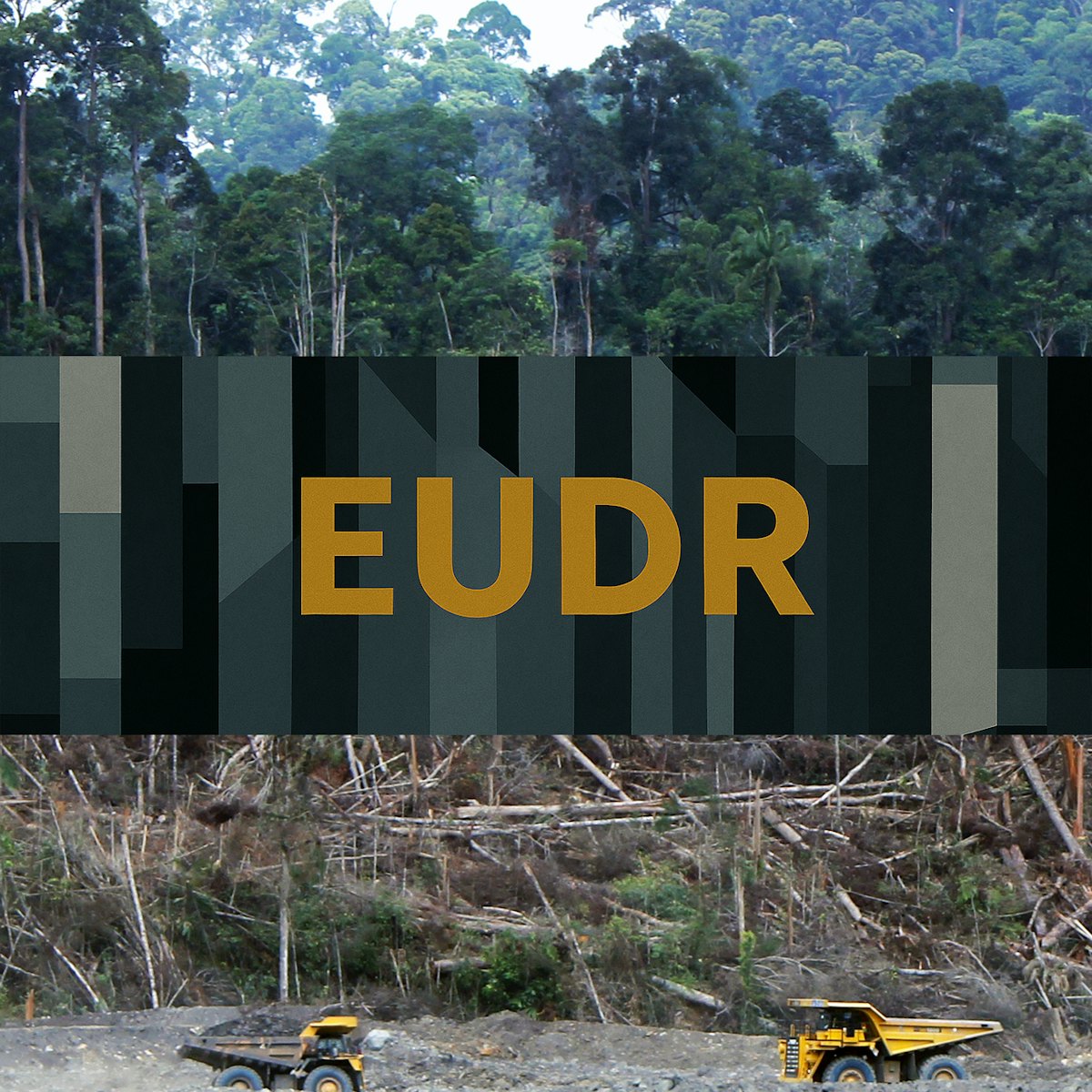 EUDR | Wood Floor Business