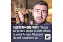 On25 Tale We Dont Have A Cat