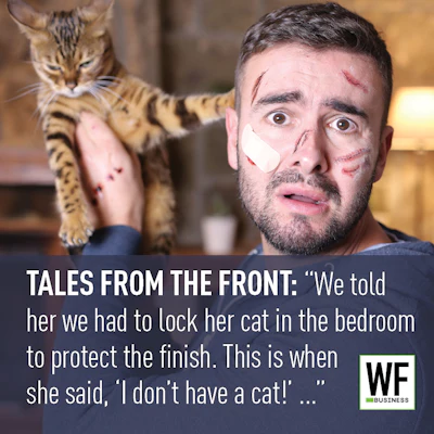On25 Tale We Dont Have A Cat