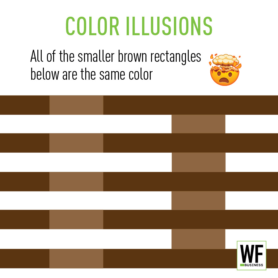 Color illusion demonstration showing identical brown rectangles against different backgrounds
