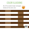Color illusion demonstration showing identical brown rectangles against different backgrounds