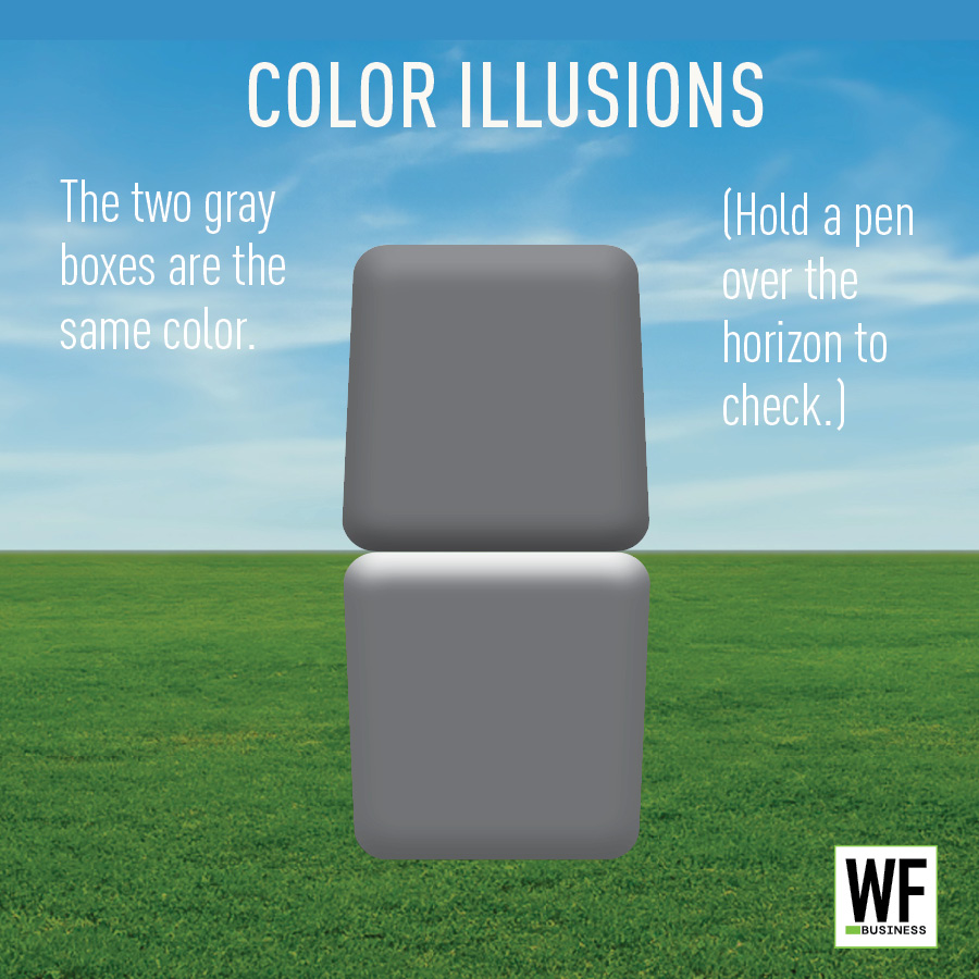 Color illusion demonstrating identical gray boxes against blue sky and green grass