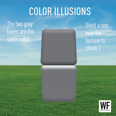 Color Illusions Two Gray Boxes