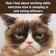 Grumpy cat with blue eyes looking displeased about working while others rest