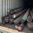 Dark wooden logs stacked inside a shipping container with colored markings