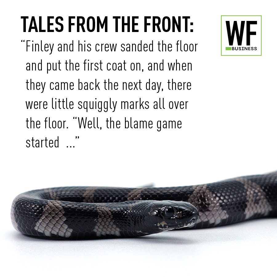 Black snake coiled on white background with workplace story text