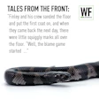 Black snake coiled on white background with workplace story text
