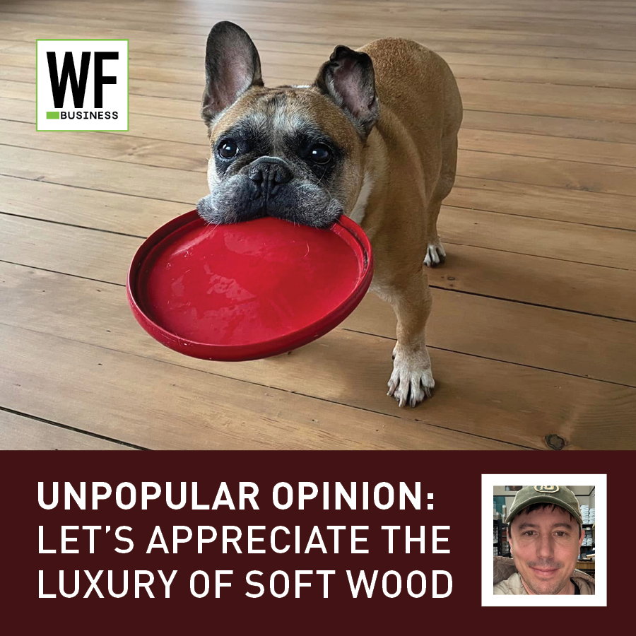 Unpopular Opionion Soft Wood