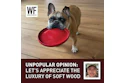 Unpopular Opionion Soft Wood