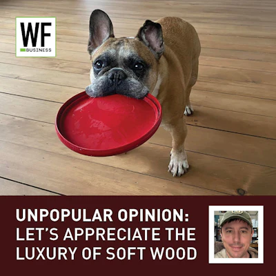 Unpopular Opionion Soft Wood