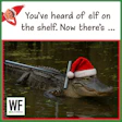 Alligator wearing Santa hat in swamp, humorous holiday meme with WF Business logo