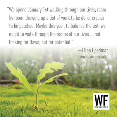 Ellen Goodman Jan 1 Quote