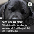 Sleeping black Labrador with WF Business logo, storytelling narrative overlay