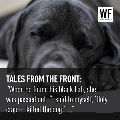 Tales Black Lab I Killed The Dog