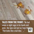 Tales Eggs Bad Idea