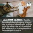 Two cats playfully wrestling on a striped blanket, with WF Business logo