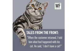 Am26 Tale Cat