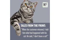 Am26 Tale Cat