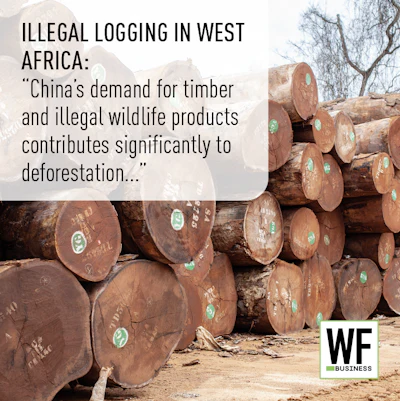 Illegal Logging