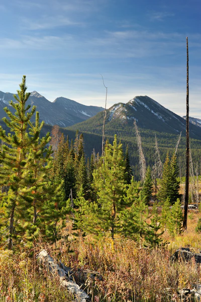 Cooke City 1549 2000px H (002)