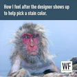How I Feel Primate Answers