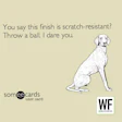 Throw A Ball Sq