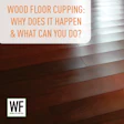 Wood F Cupping Why What