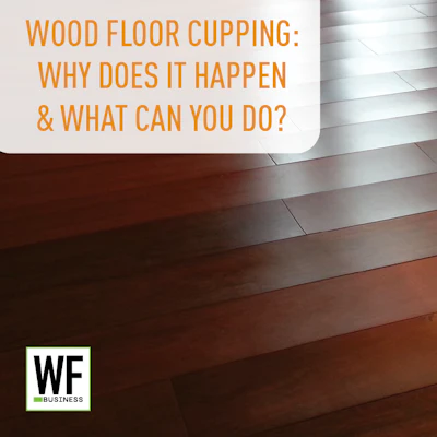 Wood F Cupping Why What