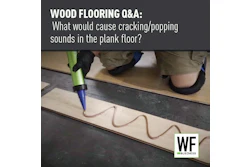 Jj26 Qn A Glue Assist