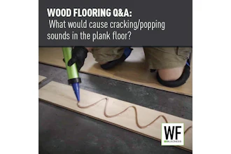 Jj26 Qn A Glue Assist