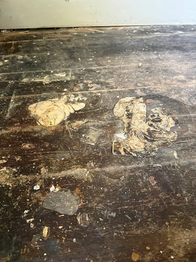 Plankd Flooring Wood Floor Rescue Image2