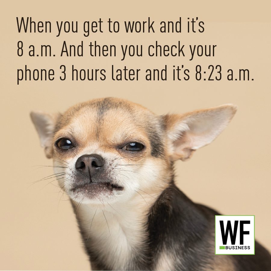 Dog Check Time