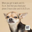 Dog Check Time