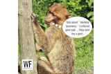 Jj26 Caption Winner
