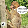 Jj26 Caption Winner