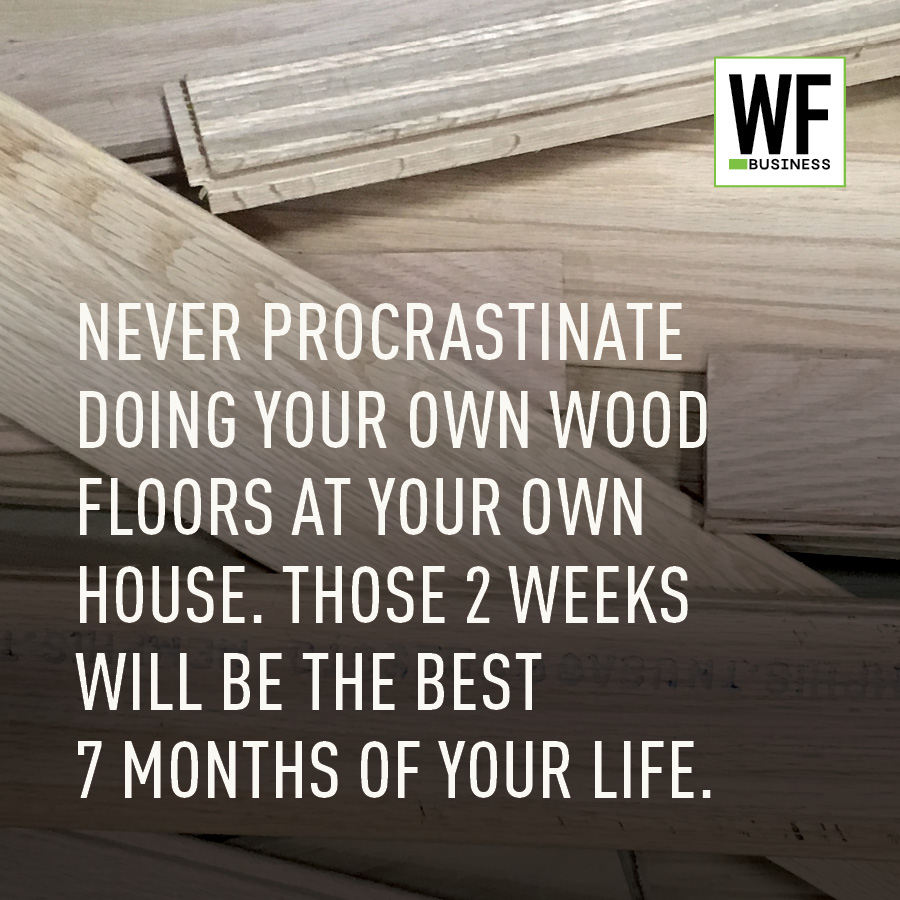 Never Procrastinate 7 Months